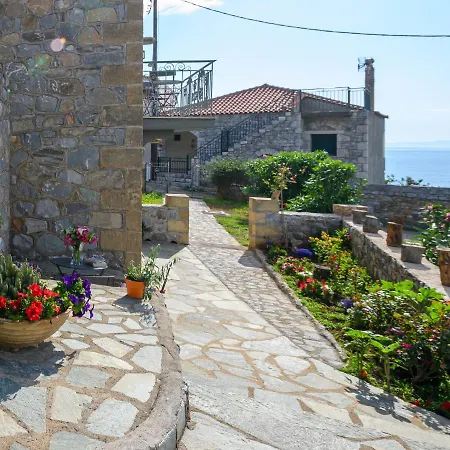 κοχύλι Διαμέρισμα