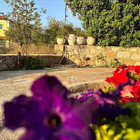 κοχύλι Kotronion (West Mani)