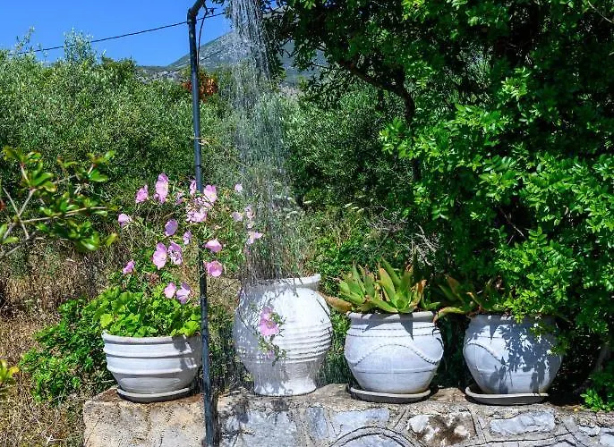 κοχύλι Lejlighed